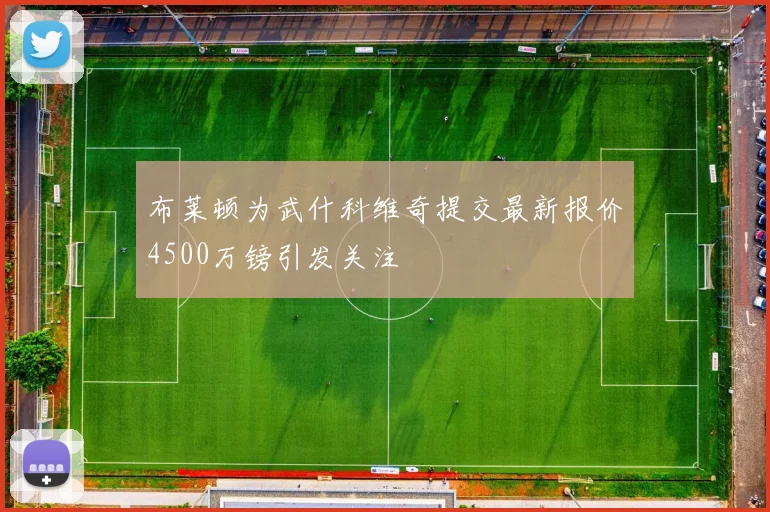 布莱顿为武什科维奇提交最新报价4500万镑引发关注