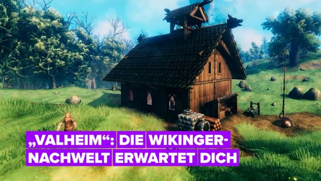 Ein Blick auf das Survival-Spiel „Valheim“