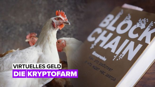 Virtuelles Geld: die Kryptofarm