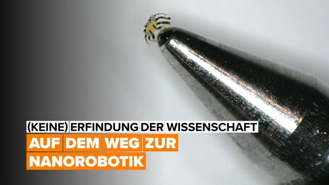 (Keine) Erfindung der Wissenschaft: winzigkleine ferngesteuerte Roboter