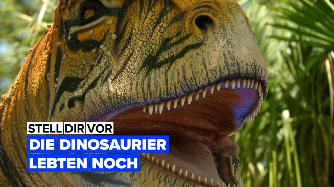 Stell dir vor, dass die Dinosaurier noch lebten